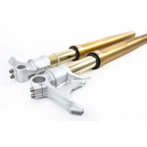 Ohlins FGRT Front Forks for BMW R9T R-Nine-T Models (2017-25) Gold Tubes