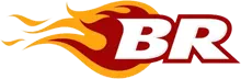 bohemian racing logo icon